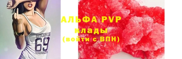 бошки Аркадак