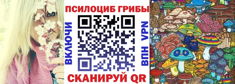Галлюциногенные грибы Cubensis  наркотики  Малгобек 